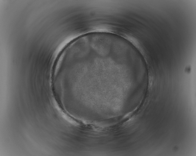 X0000112491331200909071212