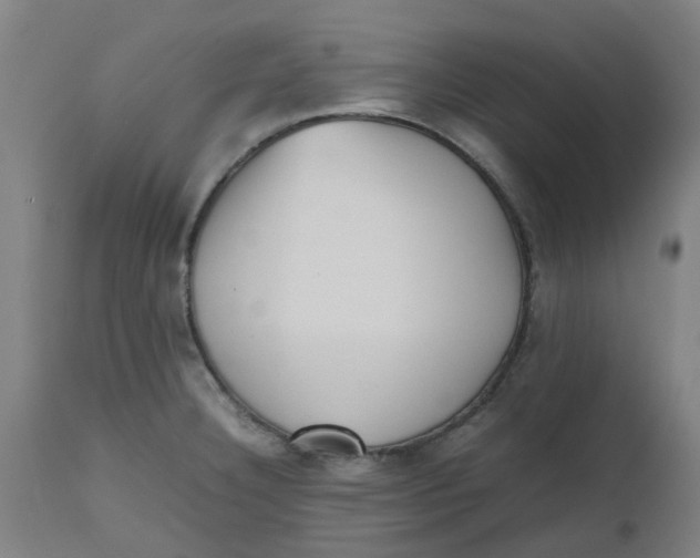 X0000112491332200909071212