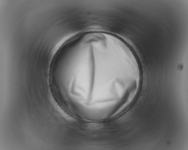 X0000112491333200909071212