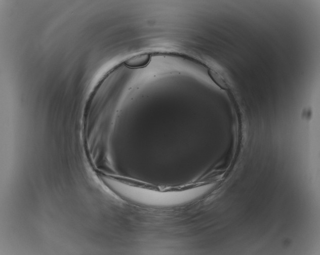 X0000112491334200909071212