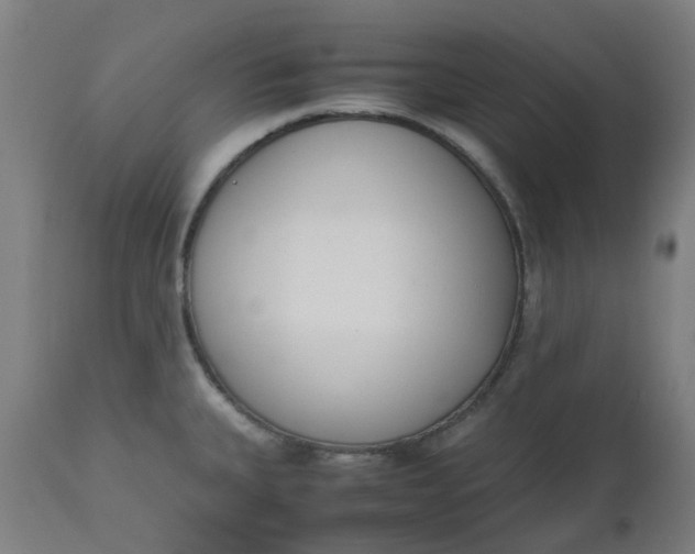 X0000112491335200909071212