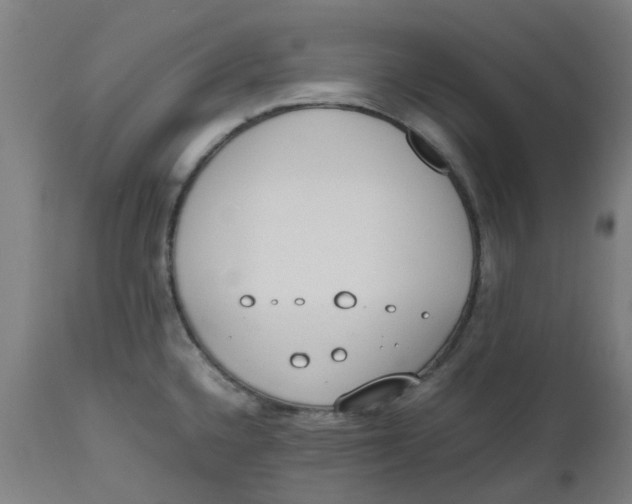 X0000112491336200909071212