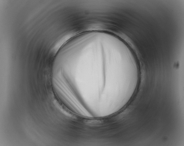 X0000112491337200909071212