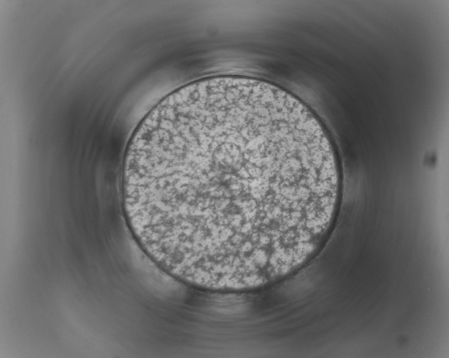 X0000112491338200909071212