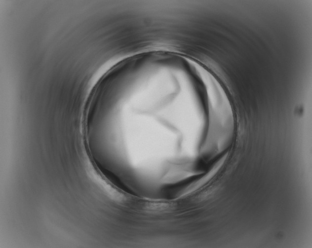 X0000112491339200909071212