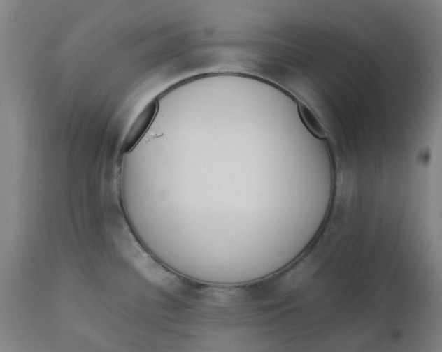 X0000112491340200909071212