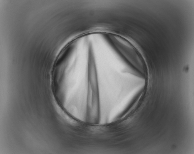 X0000112491341200909071212