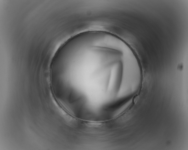 X0000112491342200909071212