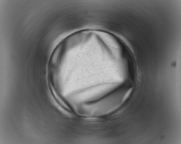 X0000112491343200909071212