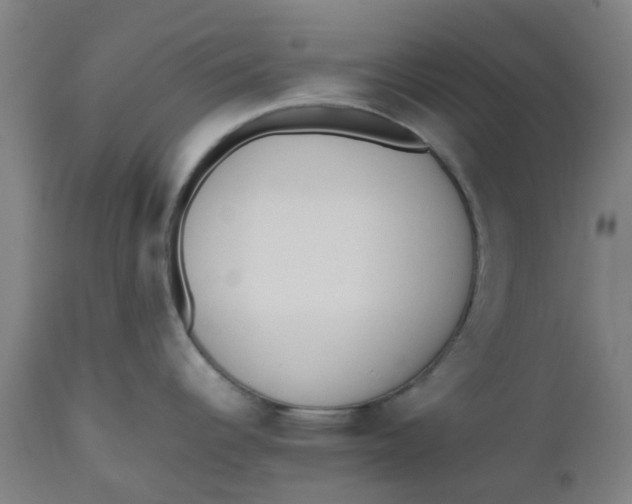 X0000112491344200909071212