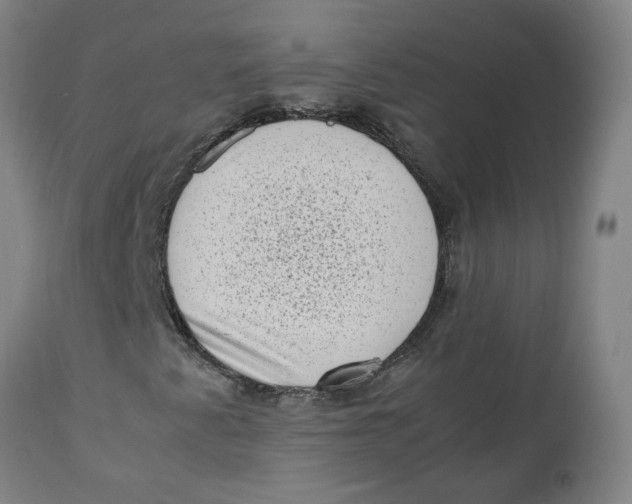 X0000112491345200909071211