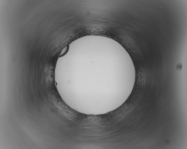 X0000112491346200909071211