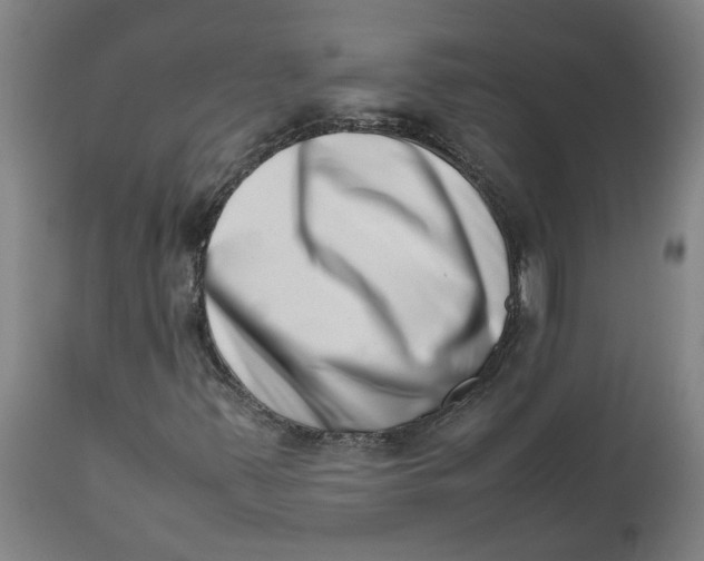 X0000112491347200909071211