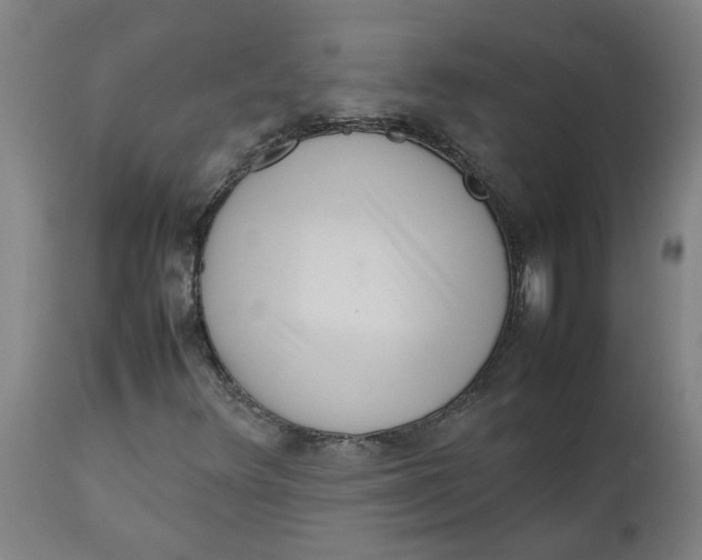 X0000112491348200909071211