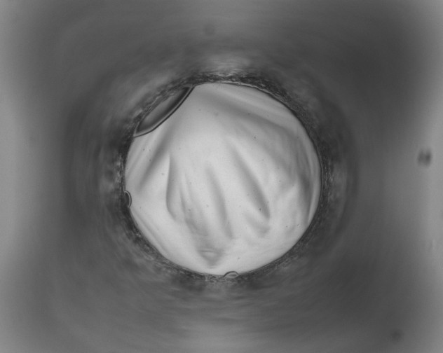 X0000112491349200909071211