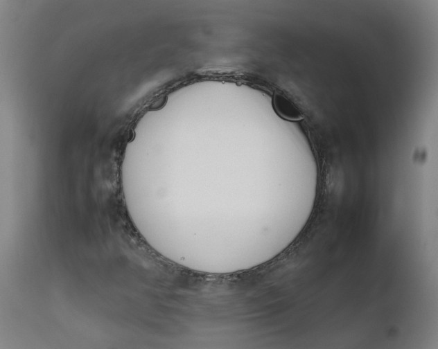 X0000112491350200909071211