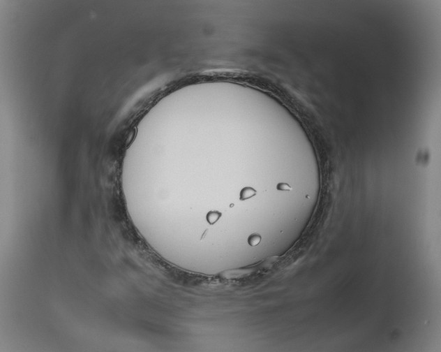 X0000112491351200909071211