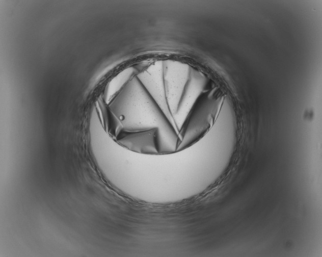 X0000112491352200909071211