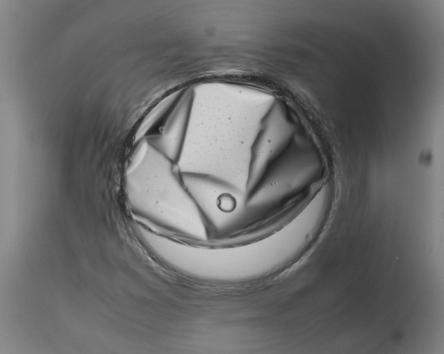 X0000112491353200909071211