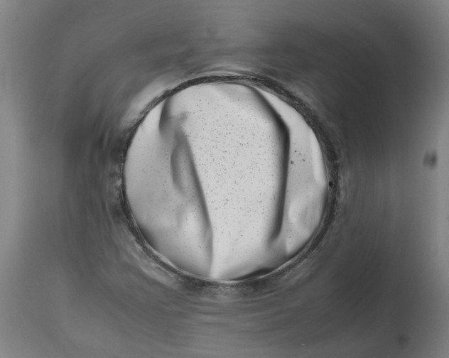 X0000112491355200909071211