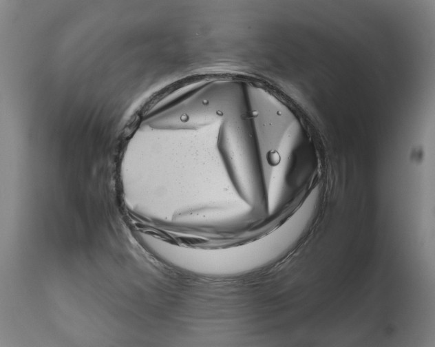 X0000112491356200909071211