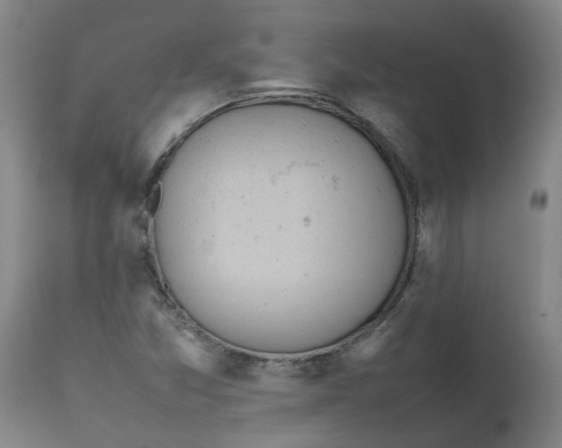 X0000112491357200909071211