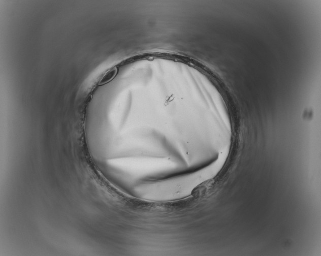 X0000112491359200909071211