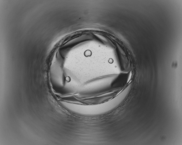 X0000112491360200909071211