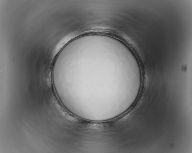 X0000112491362200909071211