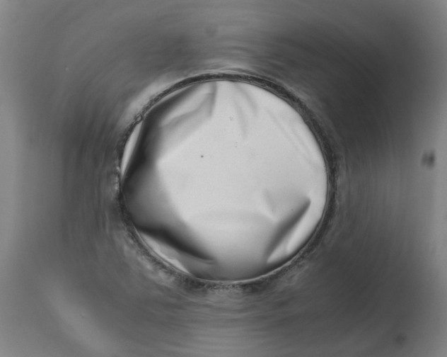 X0000112491363200909071211