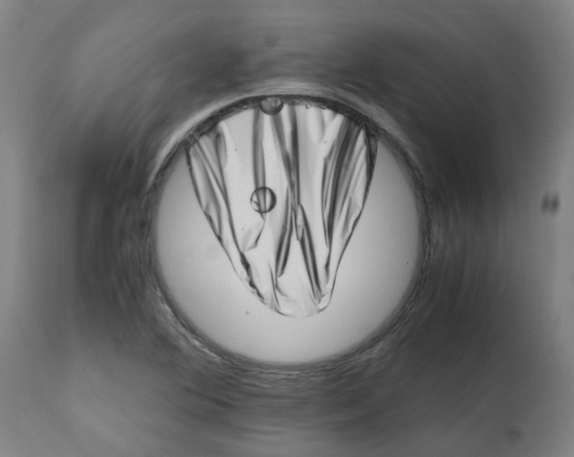 X0000112491364200909071211