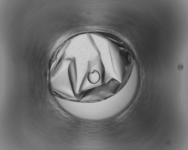 X0000112491365200909071211