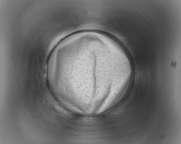 X0000112491366200909071211