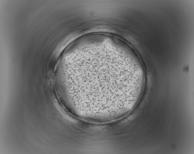 X0000112491369200909071211