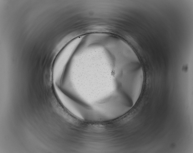 X0000112491370200909071211