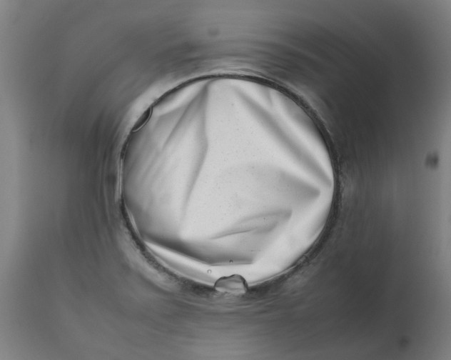 X0000112491371200909071211