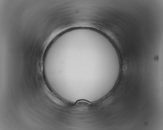 X0000112491372200909071211