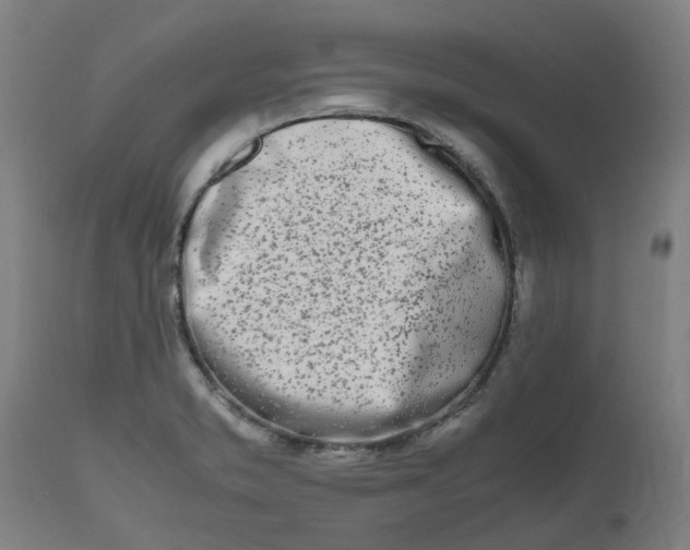 X0000112491373200909071211