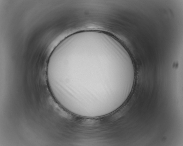 X0000112491374200909071211