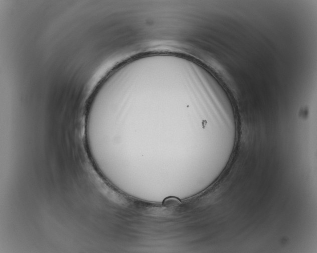 X0000112491376200909071211