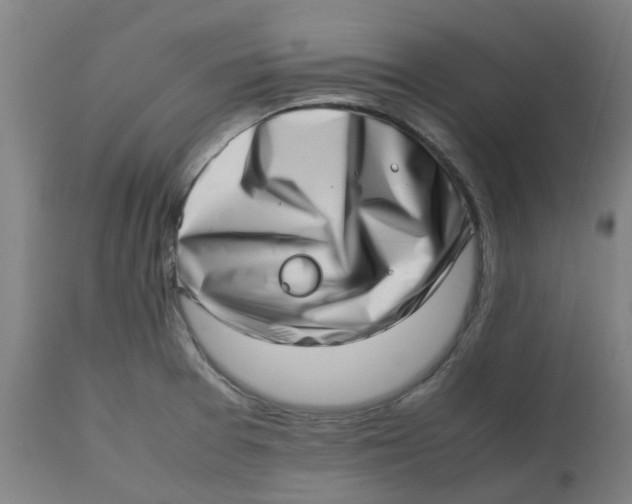 X0000112491377200909071211