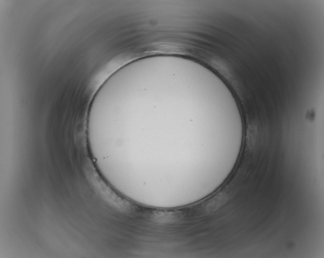 X0000112491378200909071211