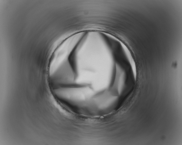 X0000112491379200909071211