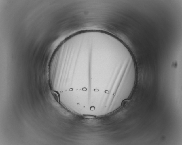 X0000112491380200909071211