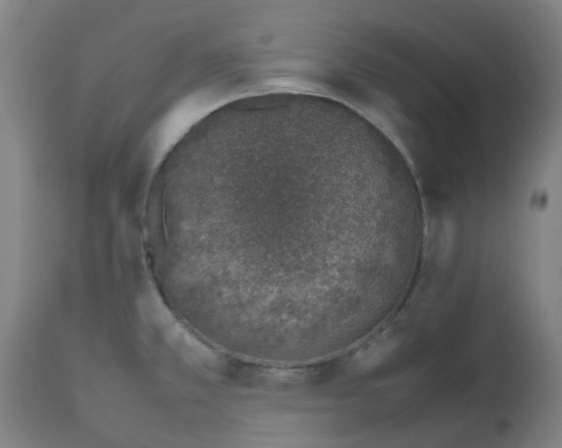 X0000112491381200909071211