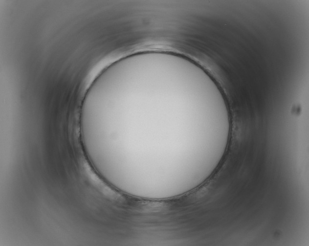 X0000112491382200909071211