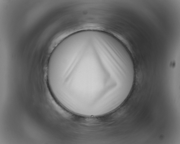 X0000112491383200909071211