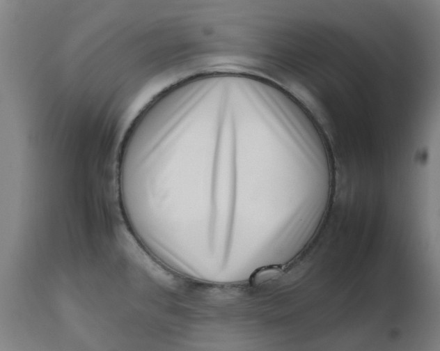 X0000112491384200909071211