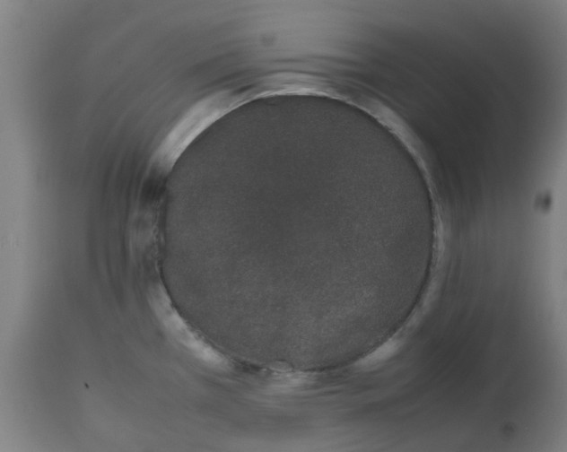 X0000112491385200909071211