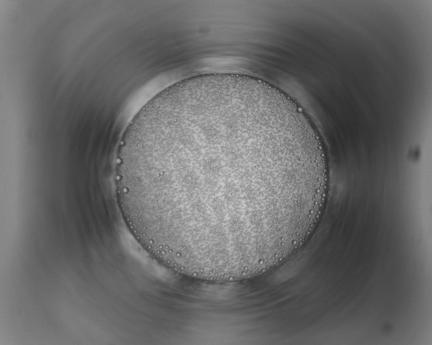 X0000112491386200909071211